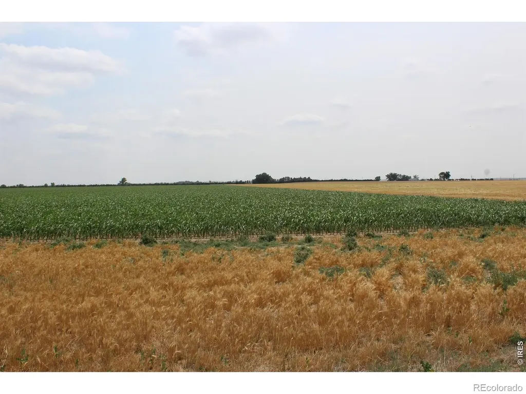 9614 County Road 6 Wiggins CO 80654