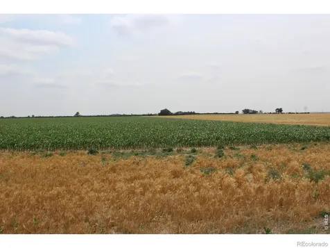 9614 County Road 6 Wiggins CO 80654