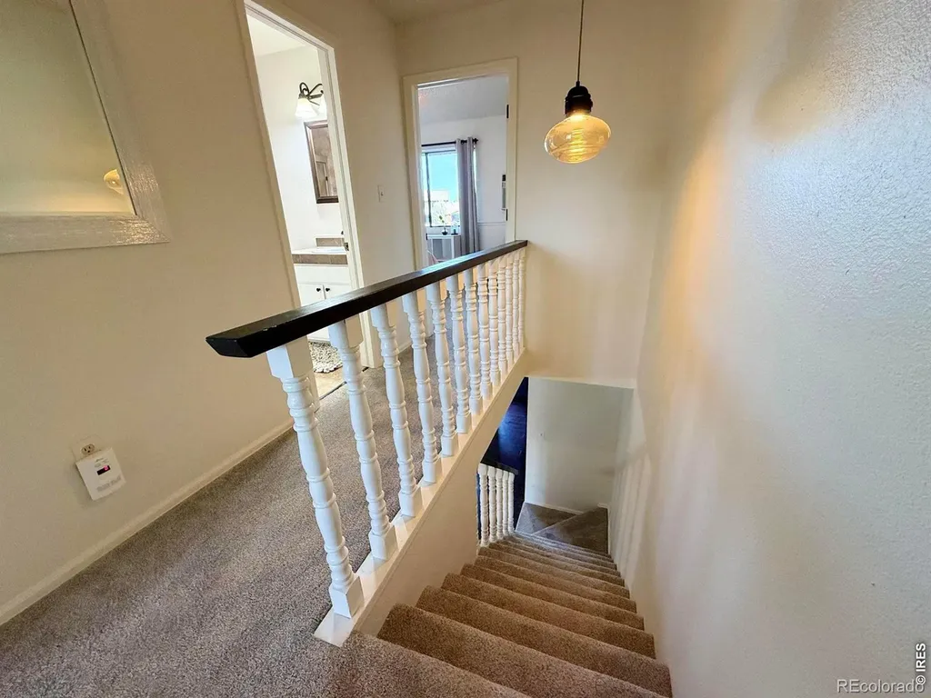 1545 Adriel Court Fort Collins CO 80524