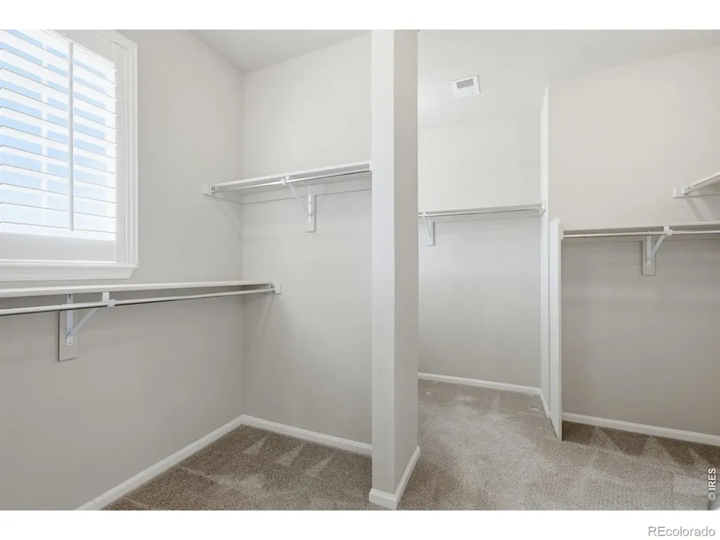 5504 Sugar Loaf Court Timnath CO 80547
