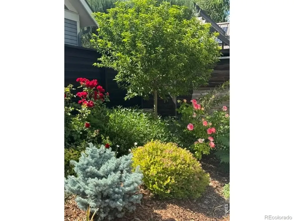 524 Cherry Street Fort Collins CO 80521