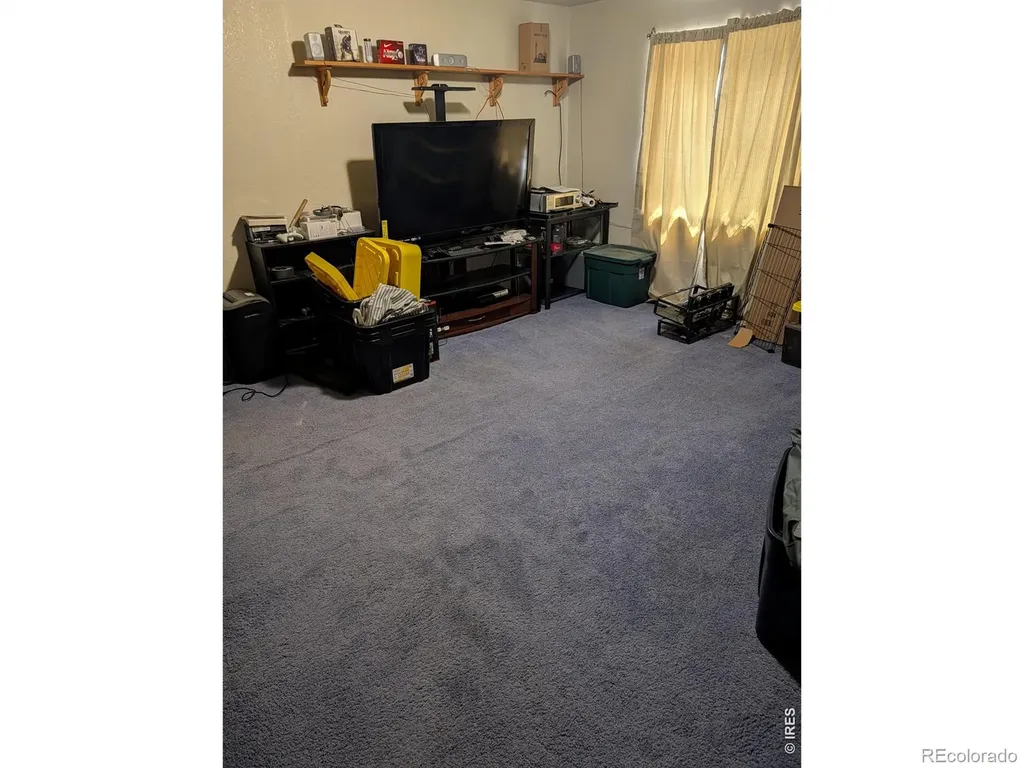 1171 Norma Court Milliken CO 80543