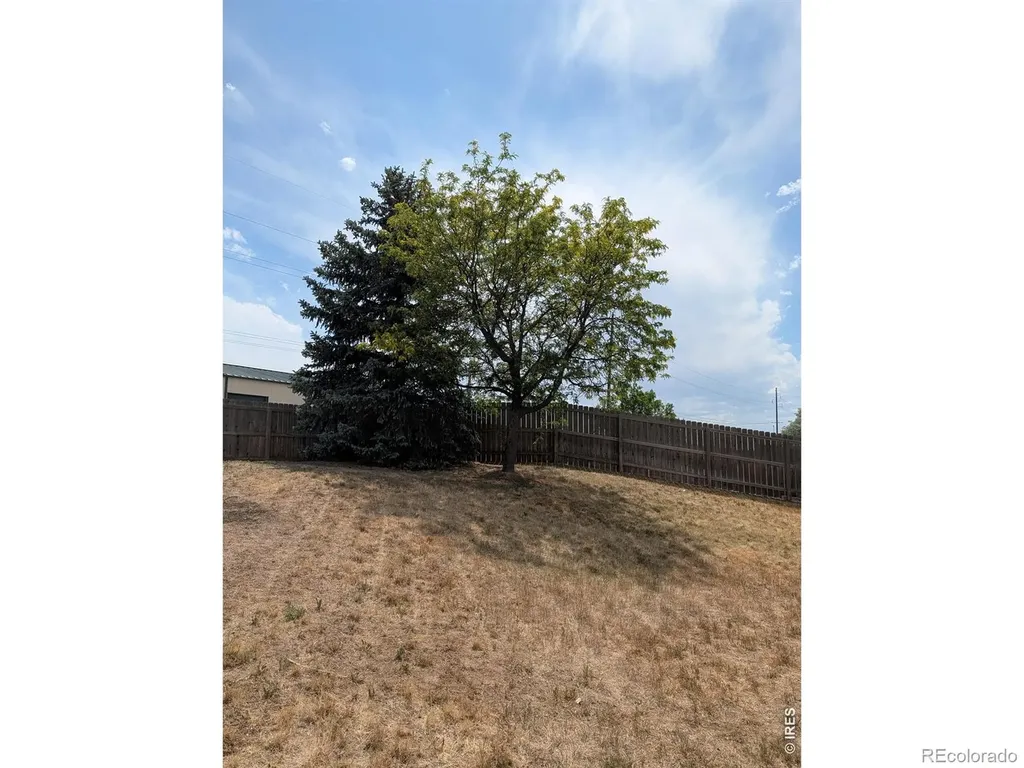 1171 Norma Court Milliken CO 80543
