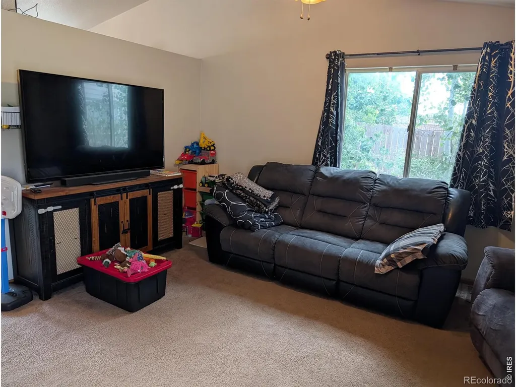 1171 Norma Court Milliken CO 80543