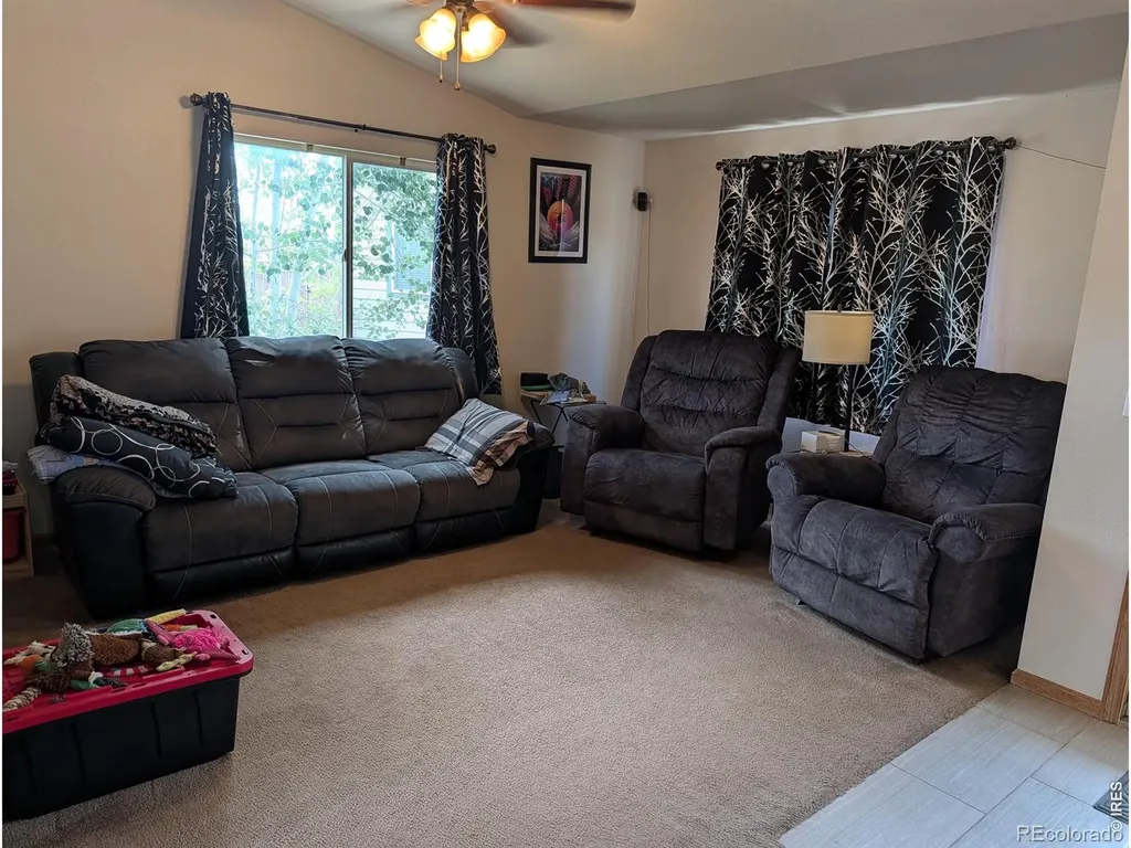 1171 Norma Court Milliken CO 80543