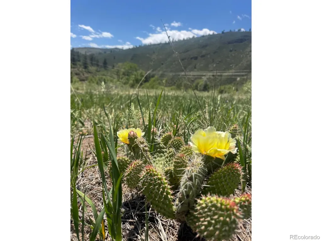 1114 Vision Way Lyons CO 80540