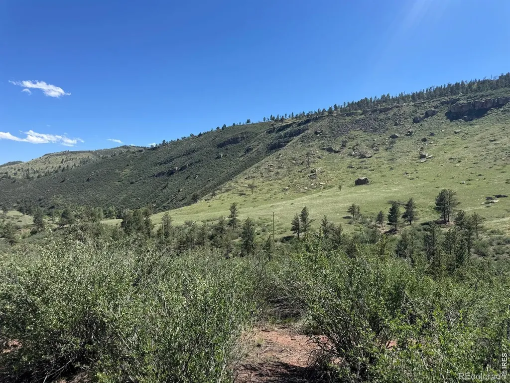 1114 Vision Way Lyons CO 80540