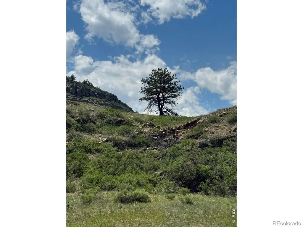 1114 Vision Way Lyons CO 80540
