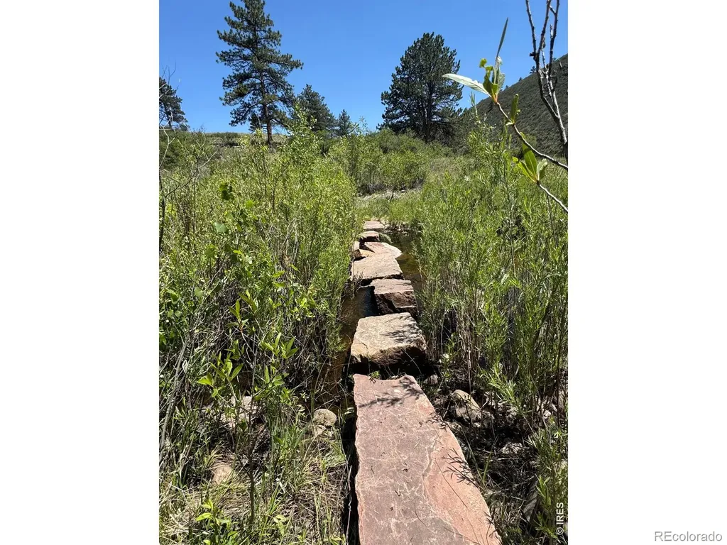 1114 Vision Way Lyons CO 80540