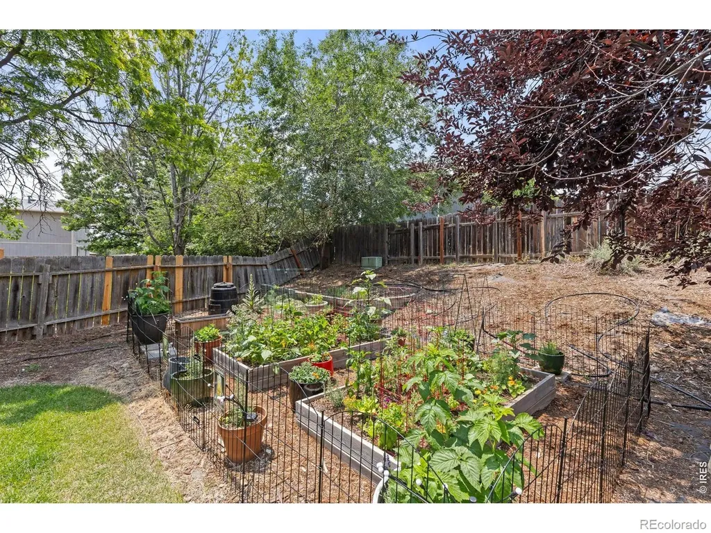 701 Drift Place Longmont CO 80504