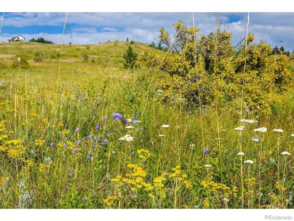 730 Lost Angel Road Boulder CO 80302