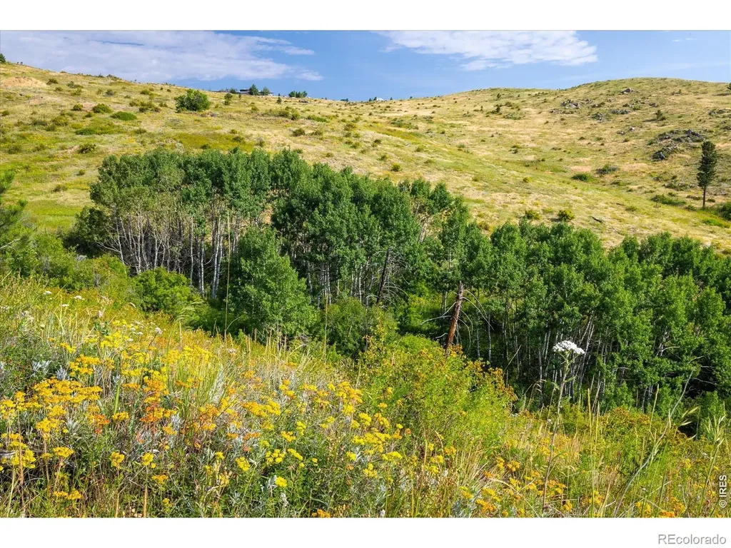 730 Lost Angel Road Boulder CO 80302