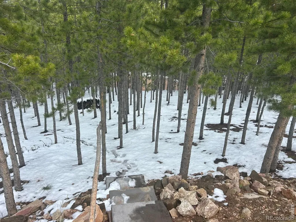 412 Mescalero Drive Red Feather Lakes CO 80545