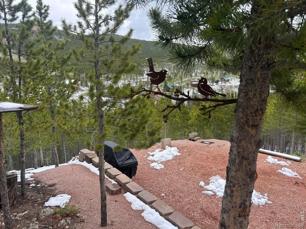 412 Mescalero Drive Red Feather Lakes CO 80545