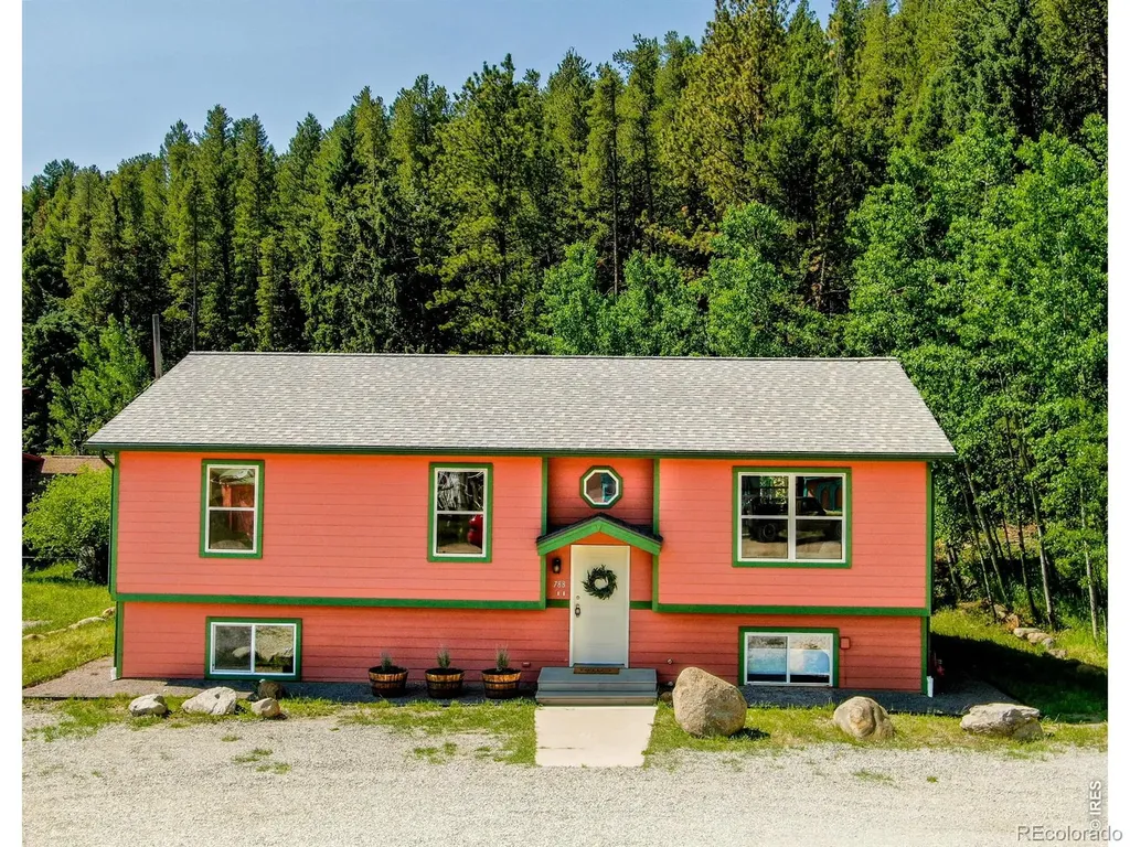 788 W 4th Street Nederland CO 80466