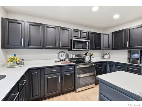 3004 Ravenhill Circle Highlands Ranch CO 80126