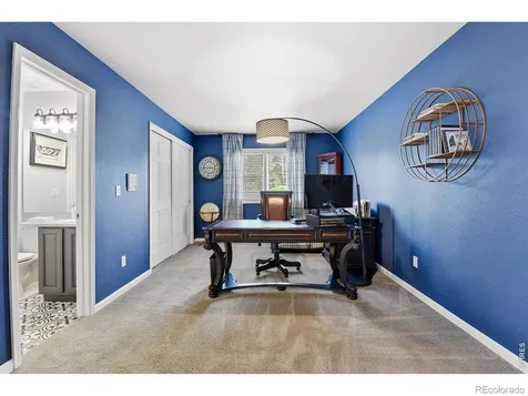 3004 Ravenhill Circle Highlands Ranch CO 80126