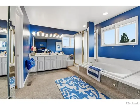 3004 Ravenhill Circle Highlands Ranch CO 80126