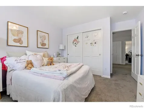 3004 Ravenhill Circle Highlands Ranch CO 80126