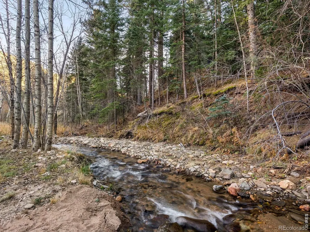 1035 Streamside Drive Drake CO 80515