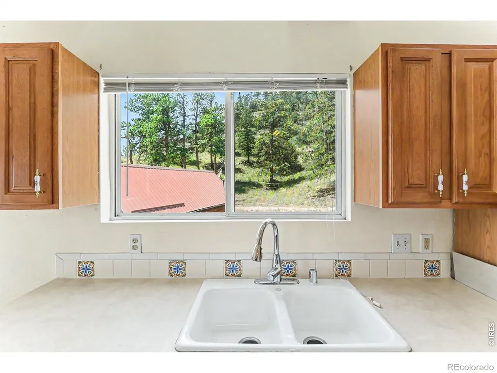 115 Paca View Court Livermore CO 80536