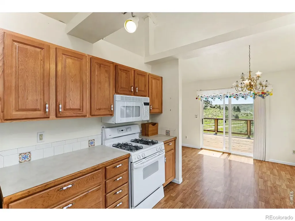 115 Paca View Court Livermore CO 80536