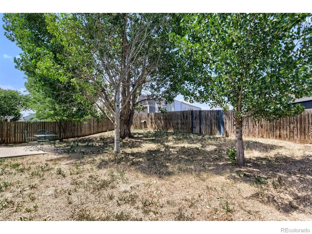 891 S Rachel Avenue Milliken CO 80543