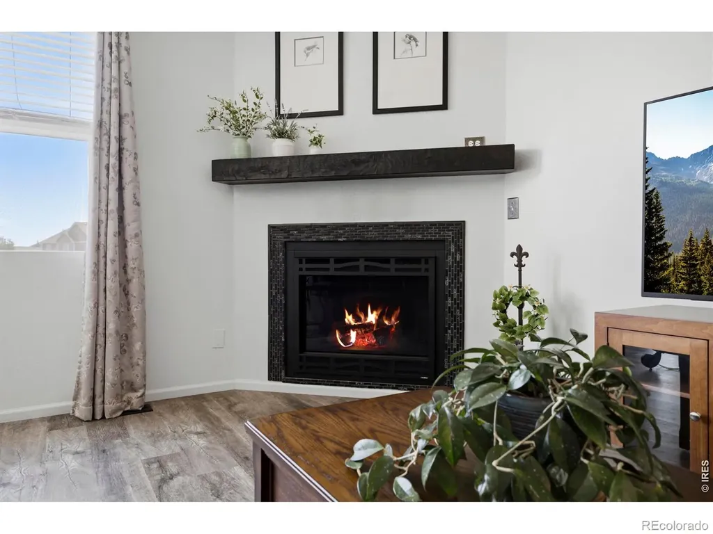 735 Camberly Drive Windsor CO 80550