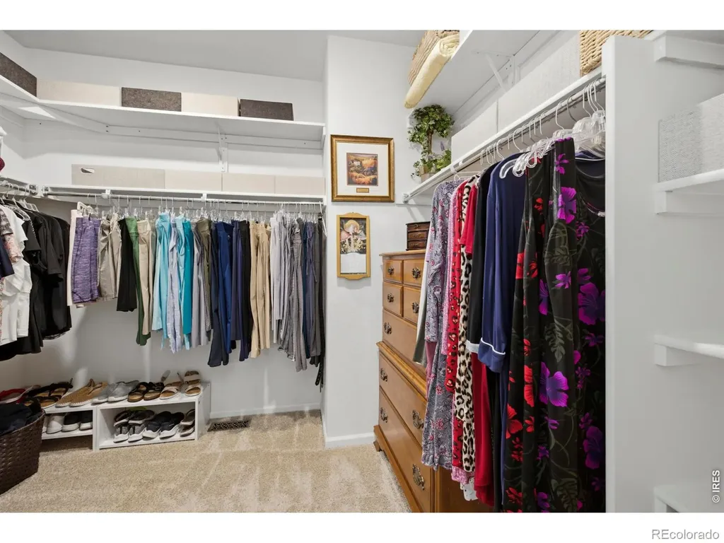 735 Camberly Drive Windsor CO 80550