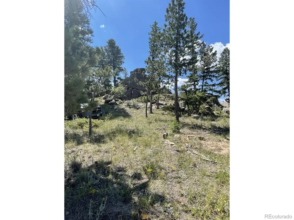 35 Robin Path Red Feather Lakes CO 80545