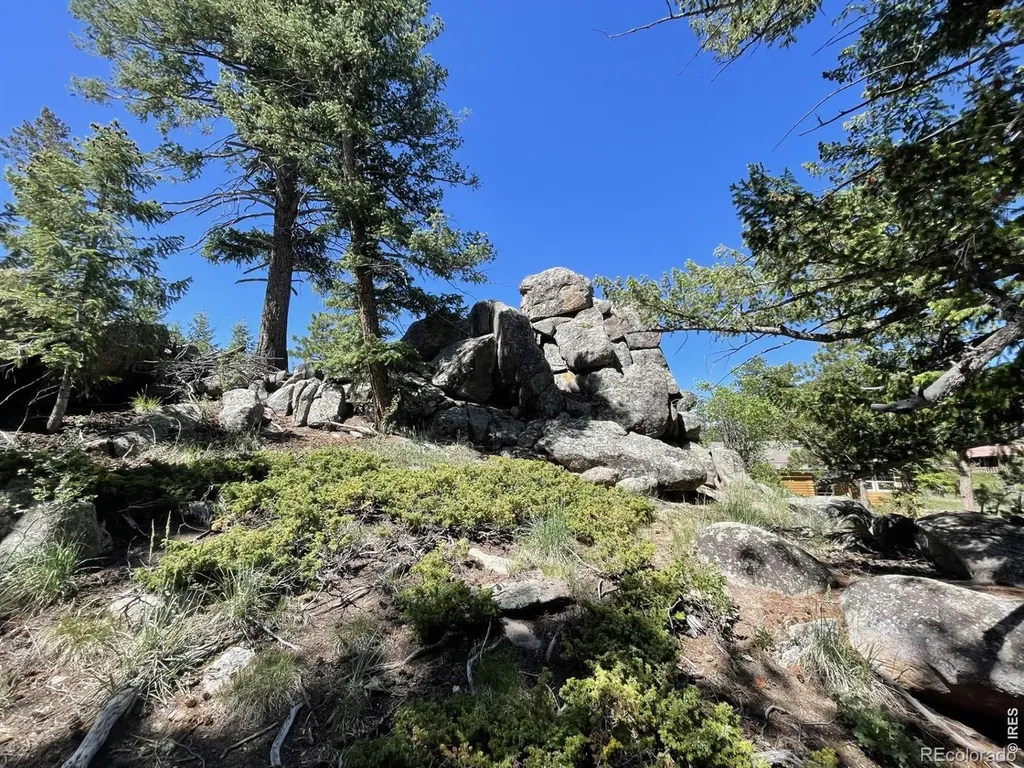 35 Robin Path Red Feather Lakes CO 80545