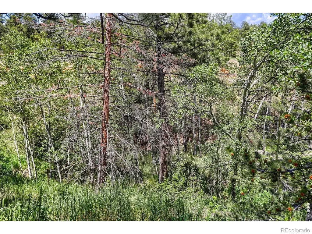 449 Highway 7 Business Allenspark CO 80510