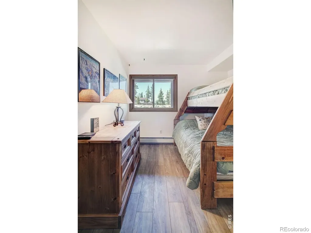 95600 Ryan Gulch Road Silverthorne CO 80498