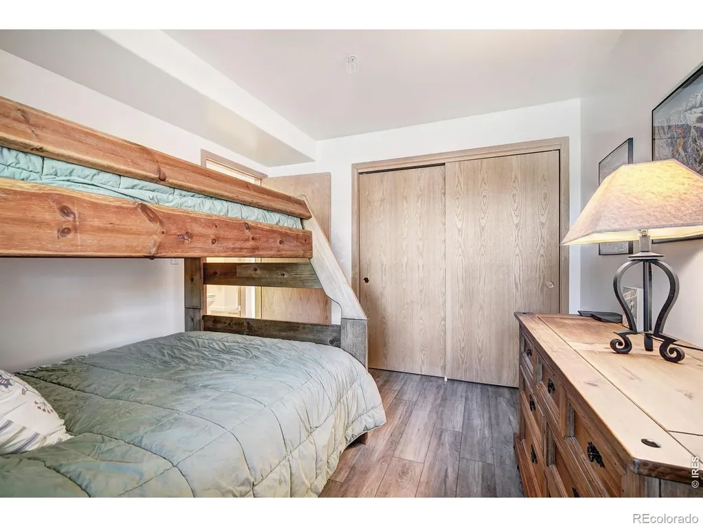95600 Ryan Gulch Road Silverthorne CO 80498