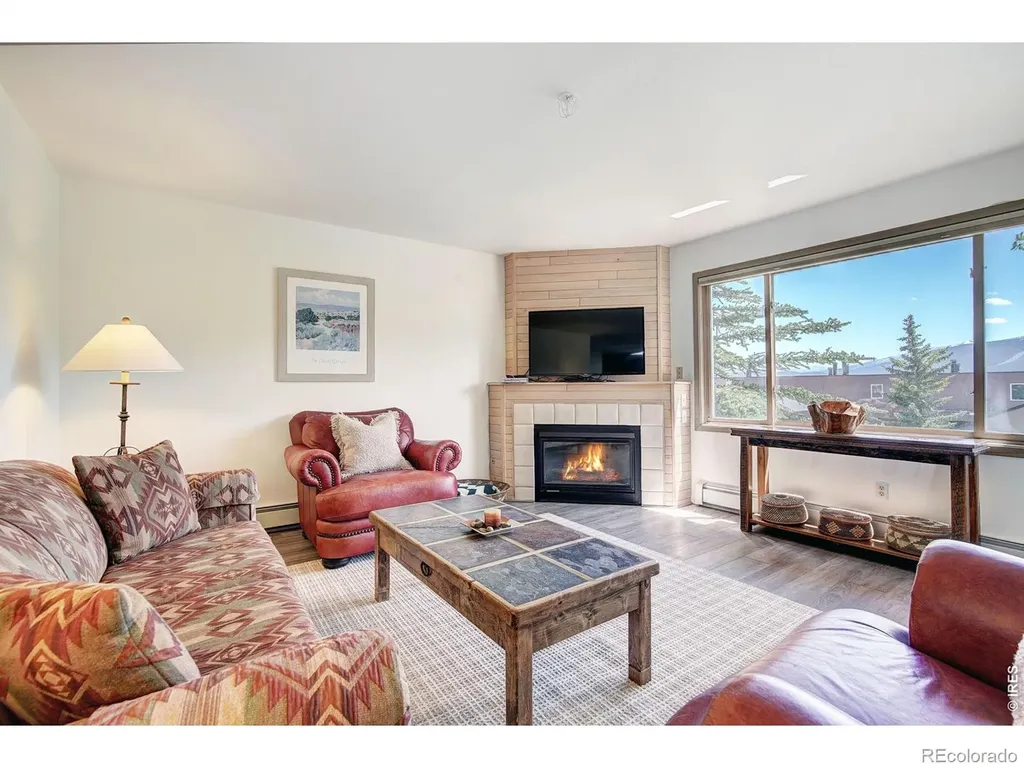 95600 Ryan Gulch Road Silverthorne CO 80498