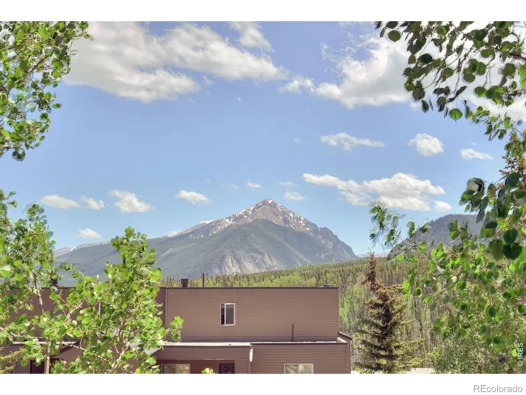 95600 Ryan Gulch Road Silverthorne CO 80498