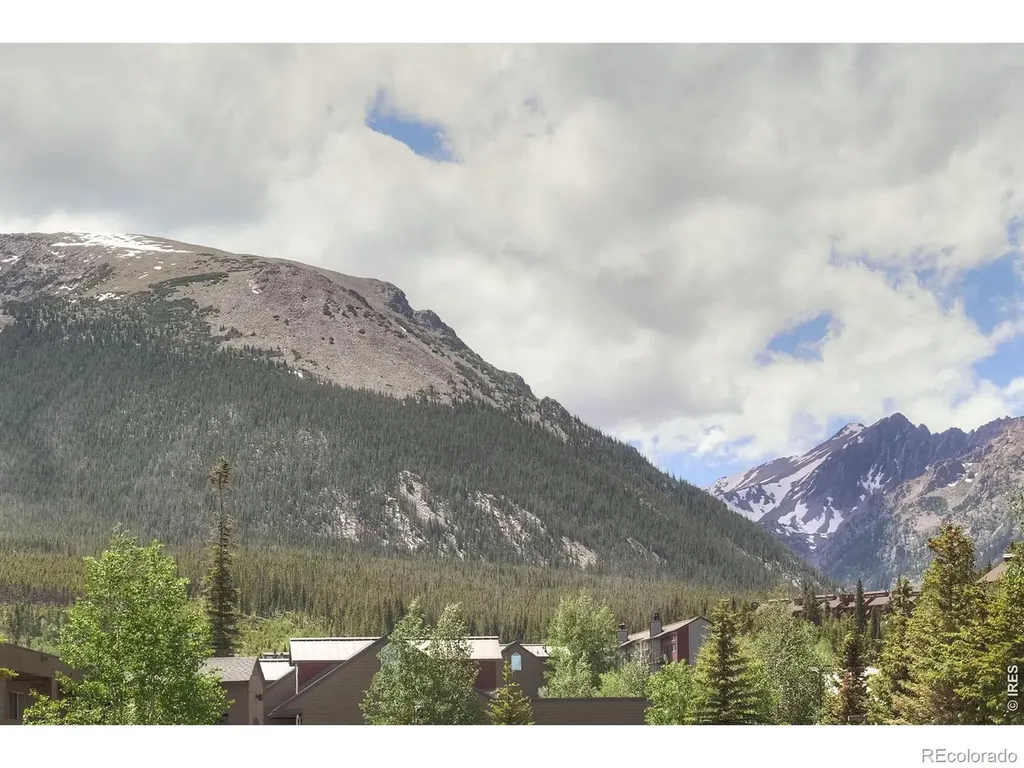 95600 Ryan Gulch Road Silverthorne CO 80498