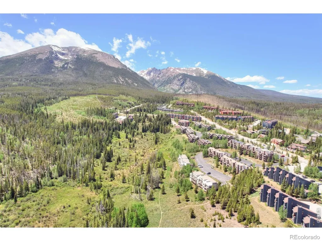 95600 Ryan Gulch Road Silverthorne CO 80498