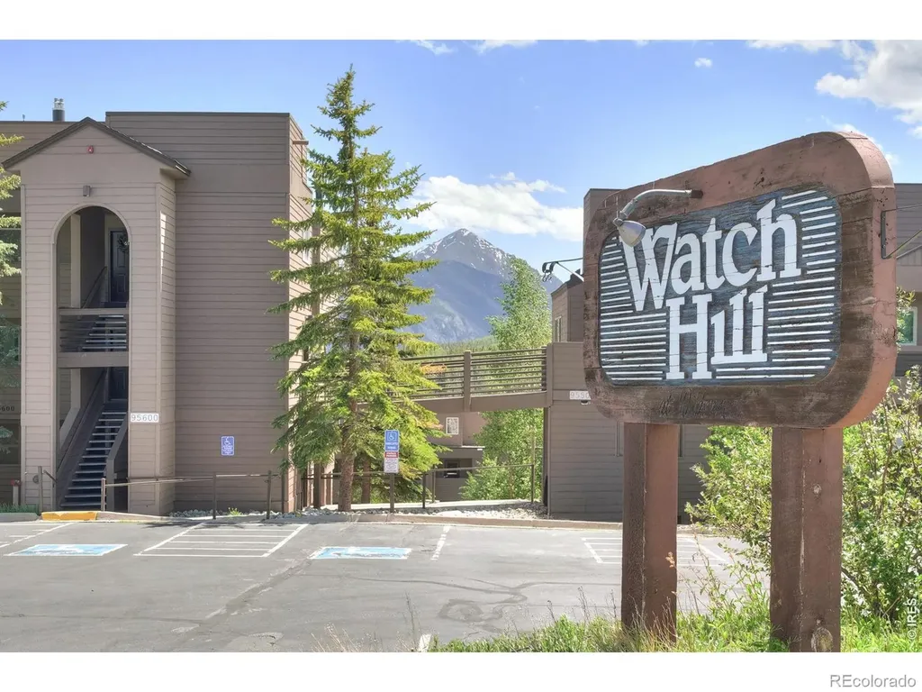 95600 Ryan Gulch Road Silverthorne CO 80498