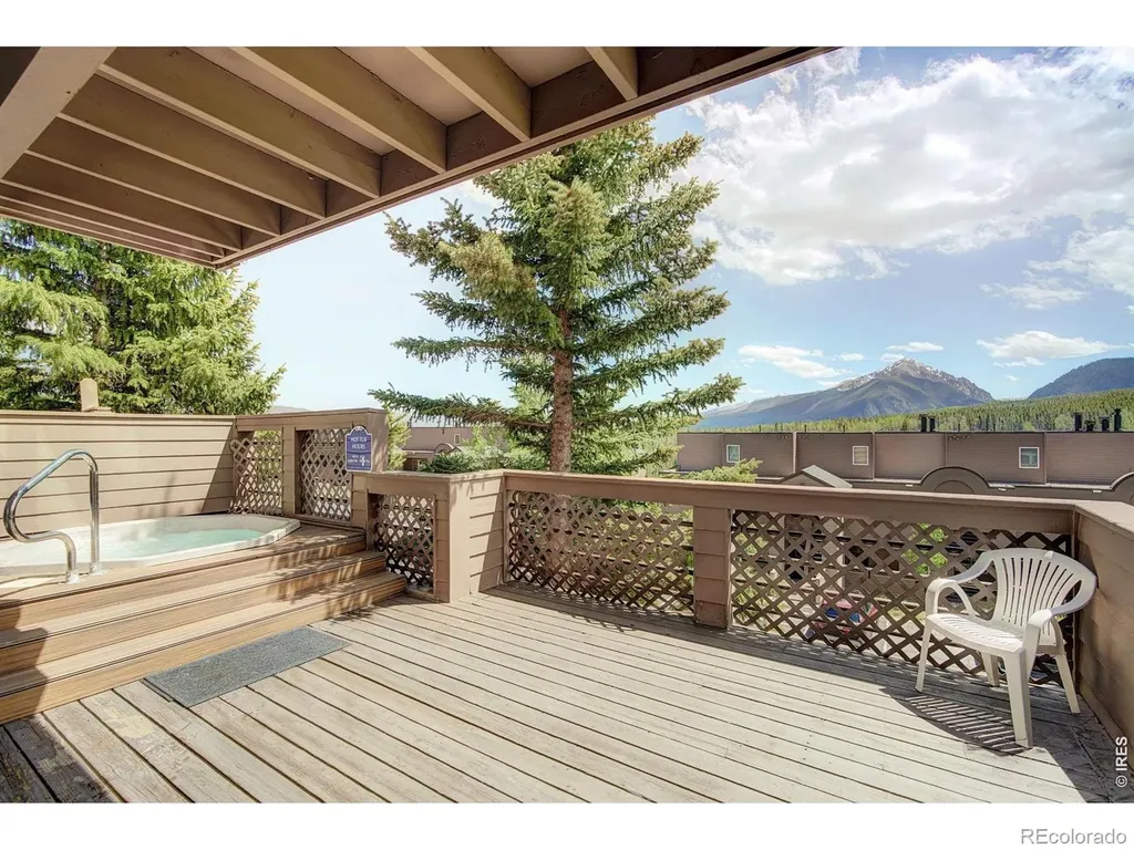 95600 Ryan Gulch Road Silverthorne CO 80498