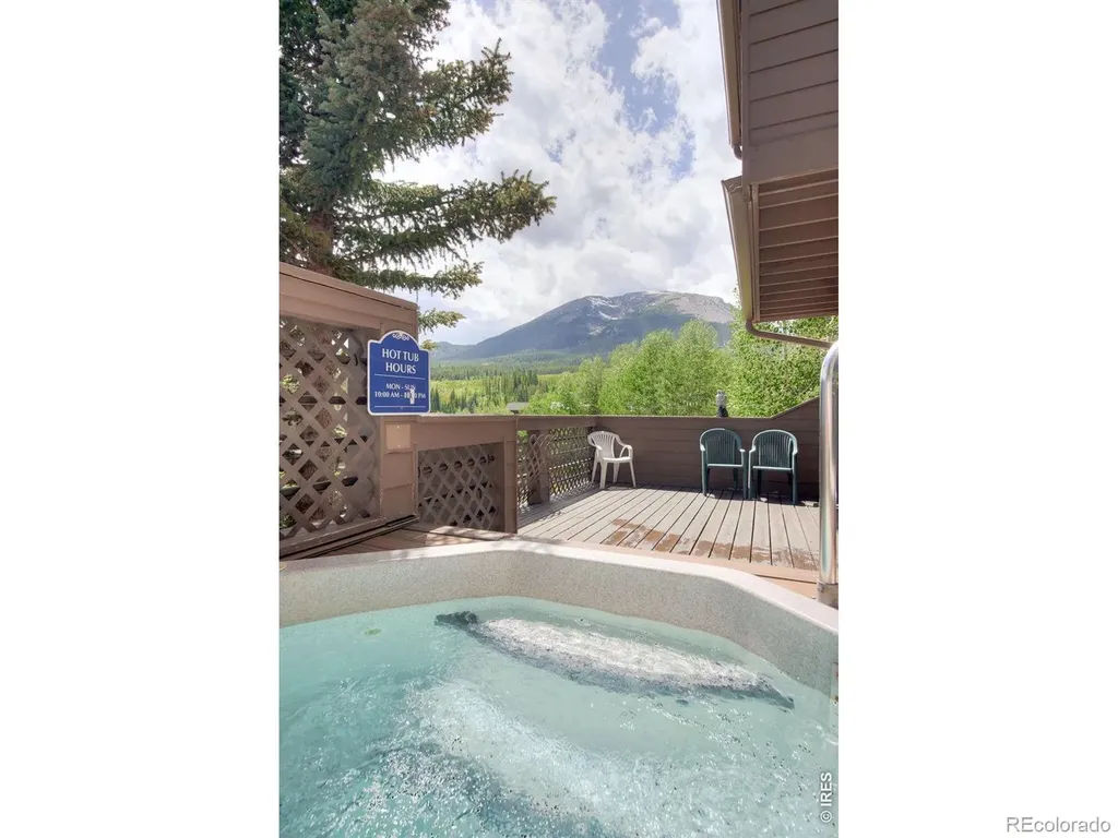 95600 Ryan Gulch Road Silverthorne CO 80498