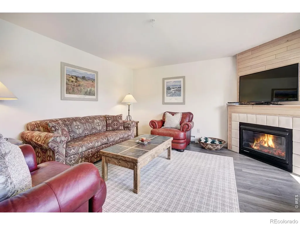 95600 Ryan Gulch Road Silverthorne CO 80498