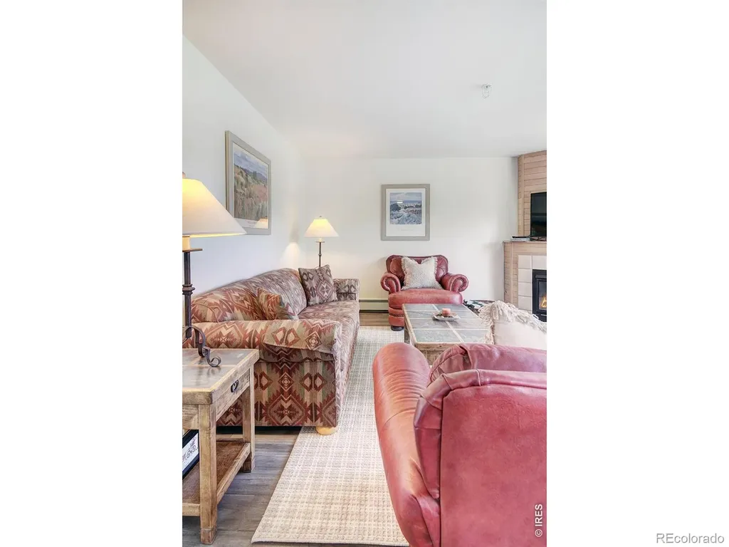 95600 Ryan Gulch Road Silverthorne CO 80498