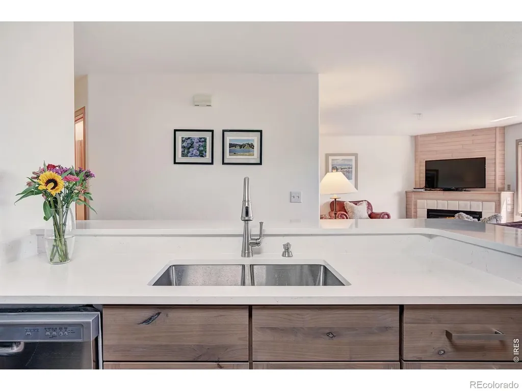95600 Ryan Gulch Road Silverthorne CO 80498