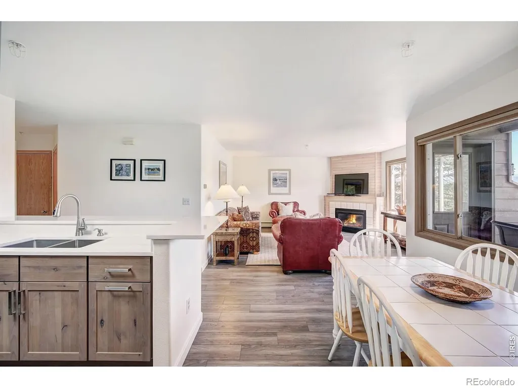 95600 Ryan Gulch Road Silverthorne CO 80498