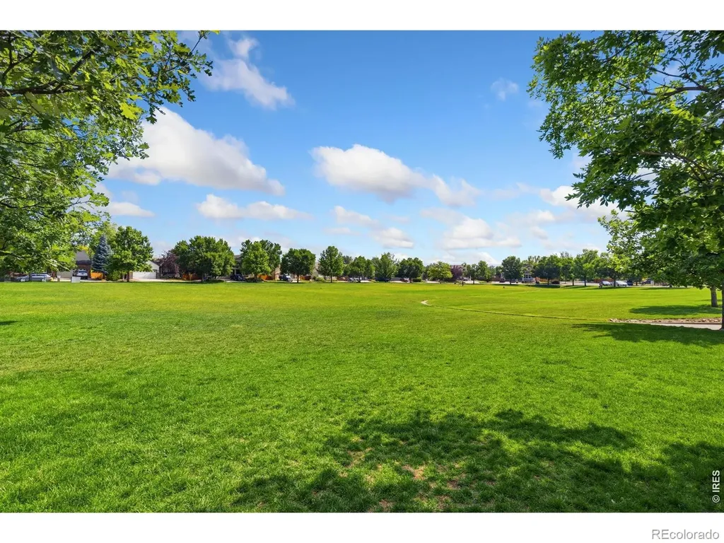 3405 Leopard Place Loveland CO 80537