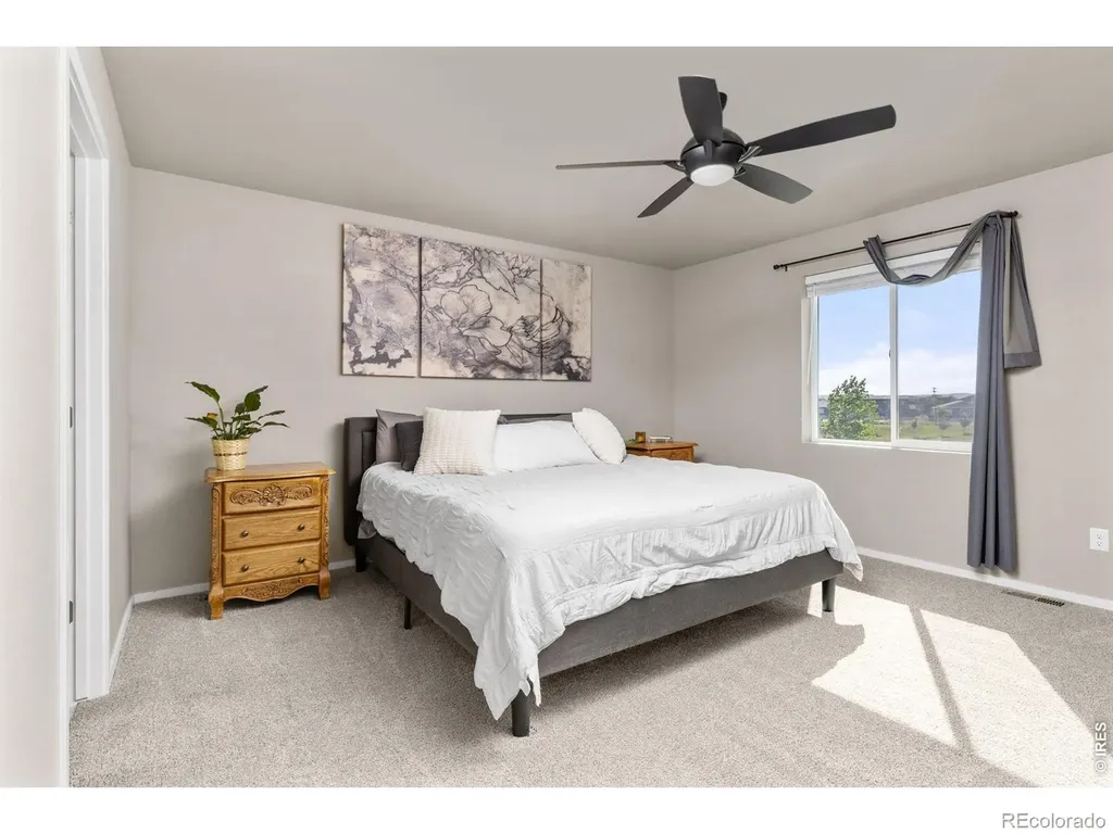 3663 Ronald Reagan Avenue Wellington CO 80549