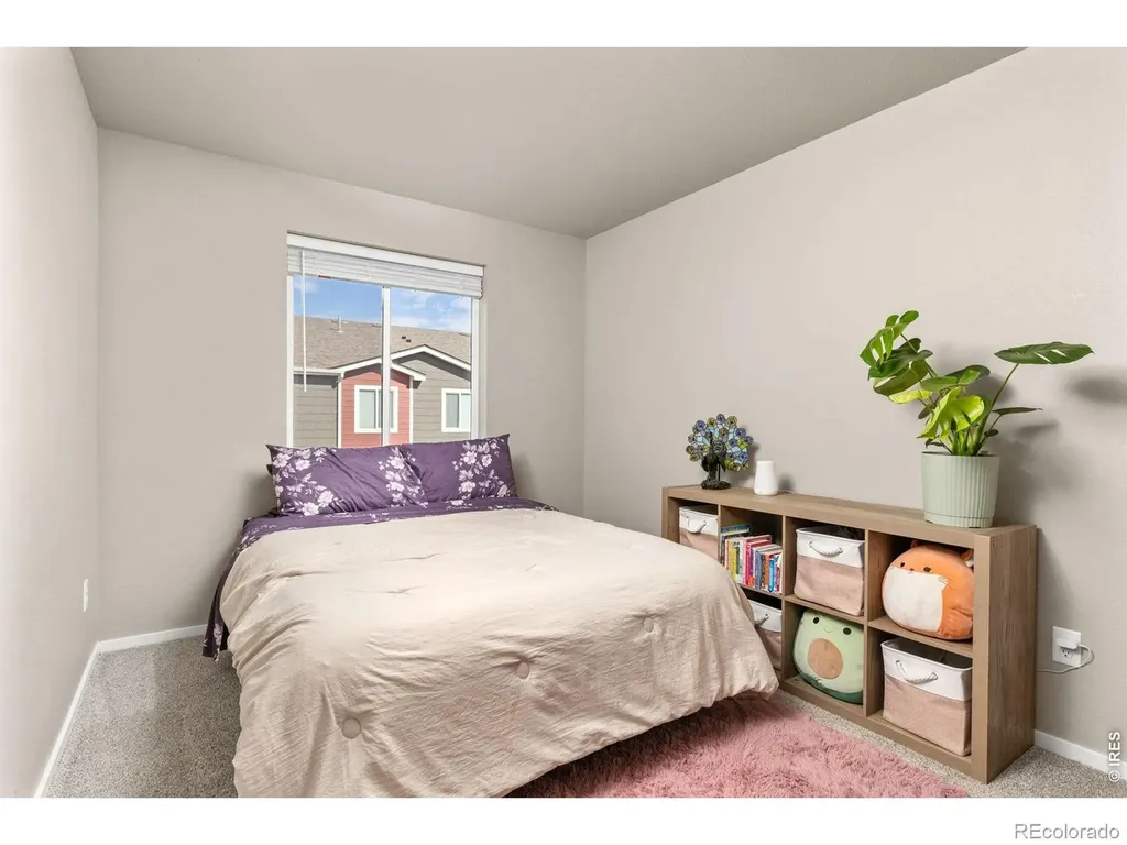 3663 Ronald Reagan Avenue Wellington CO 80549