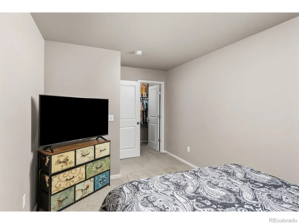 3663 Ronald Reagan Avenue Wellington CO 80549