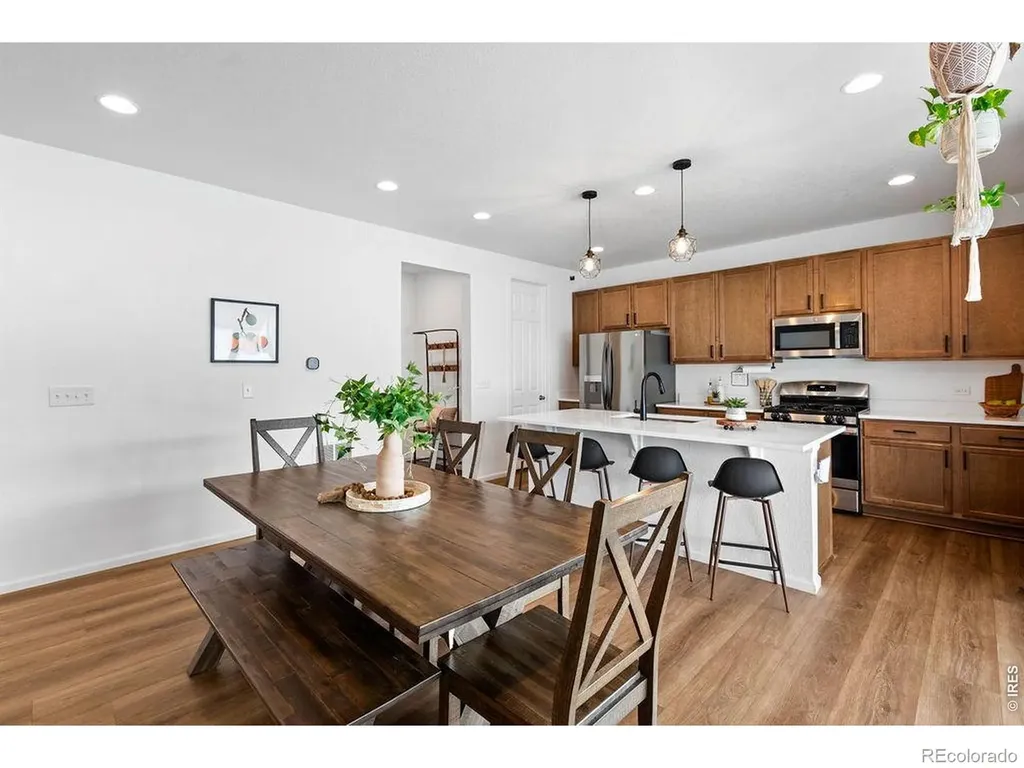 1228 Argali Drive Severance CO 80550
